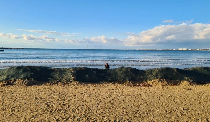 Bitrix 185249: 300.jpeg