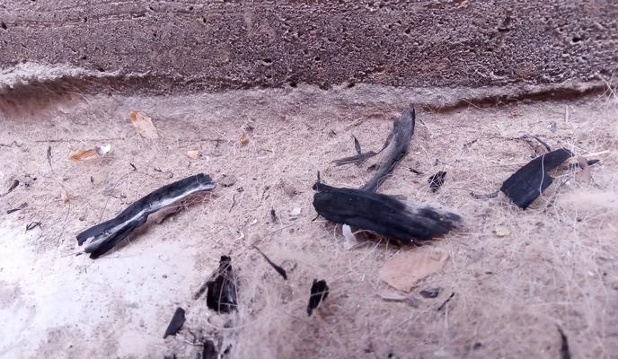 Bitrix 168009: 300.jpg