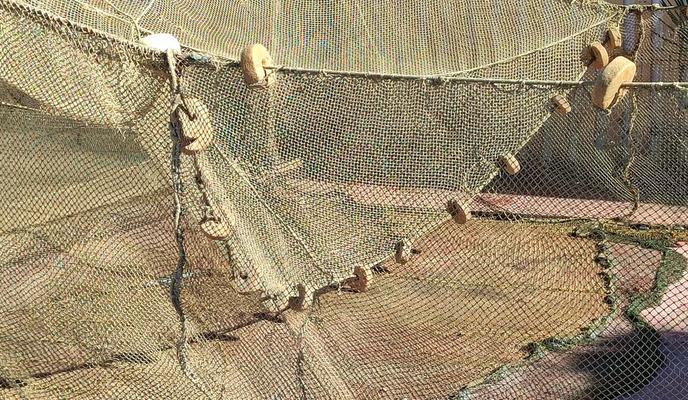 Bitrix 183669: 30.jpg