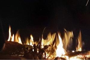 Bitrix 172772: 30.jpg