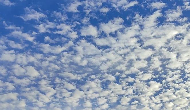 Bitrix 170987: 30.jpg