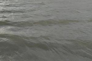 Фото Новая Кубань