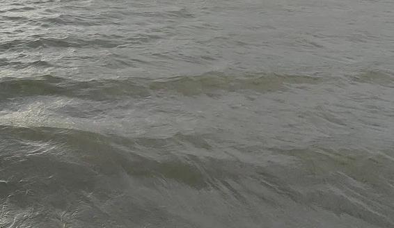 Фото Новая Кубань