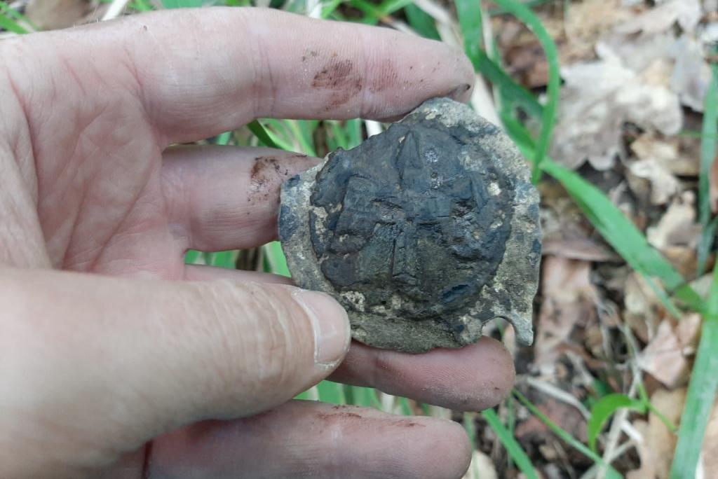 Bitrix 134609: 3211ec4a_5e2d_492c_b30e_598fa7cc0c88.jpg