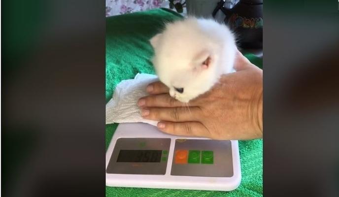 Bitrix 100942: 32.jpg