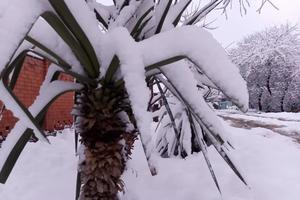 Bitrix 182189: 330.jpg