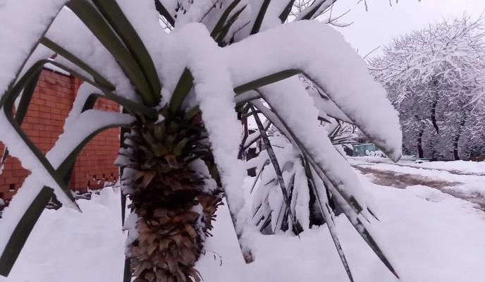 Bitrix 182189: 330.jpg