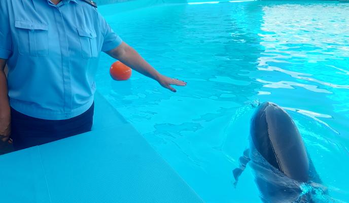 Bitrix 101257: 333.jpg