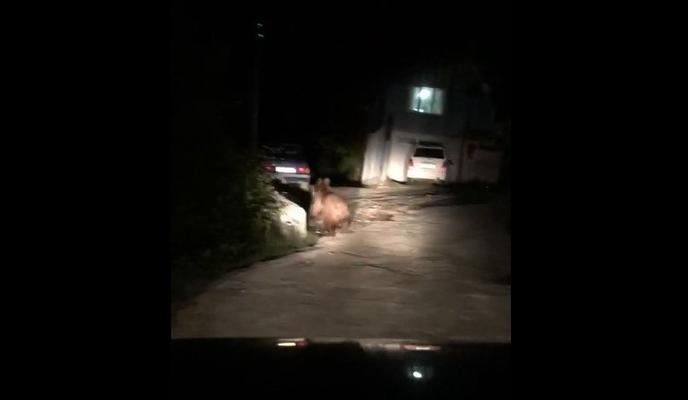 Bitrix 135649: 33.jpg