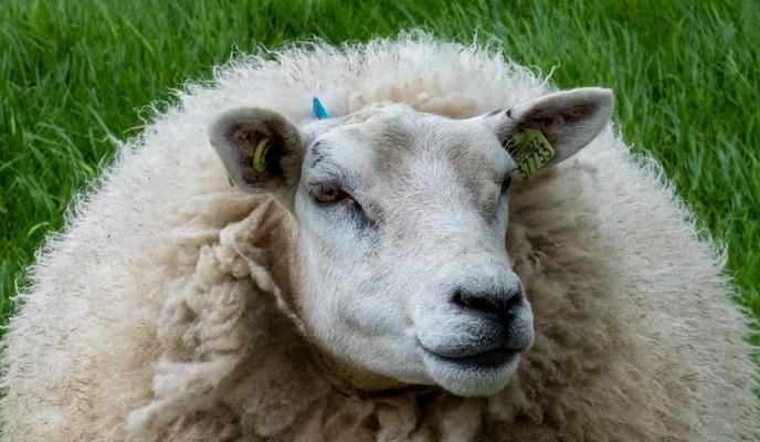 Bitrix 101431: 33.jpeg