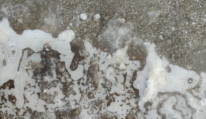 Bitrix 168345: 33.jpg