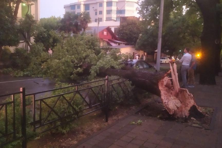 Bitrix 79514: 33.jpg