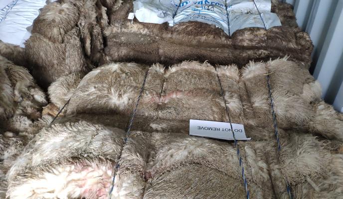 Bitrix 132559: 33.jpg