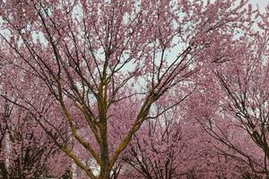 Bitrix 185768: 33.jpg