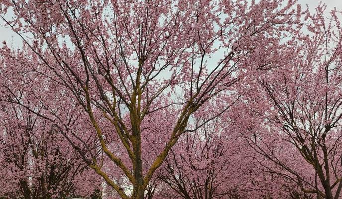 Bitrix 185768: 33.jpg