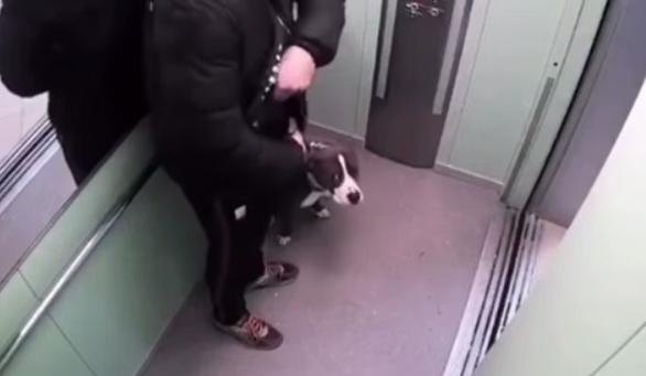 Bitrix 183433: 33.jpg