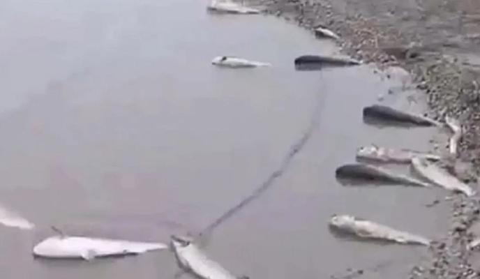 Bitrix 166887: 33.jpg