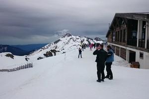 Фото Новая Кубань