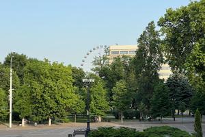 Bitrix 172406: 3665873b_a20e_4bdb_8ec1_96d353c93a6c.jpg