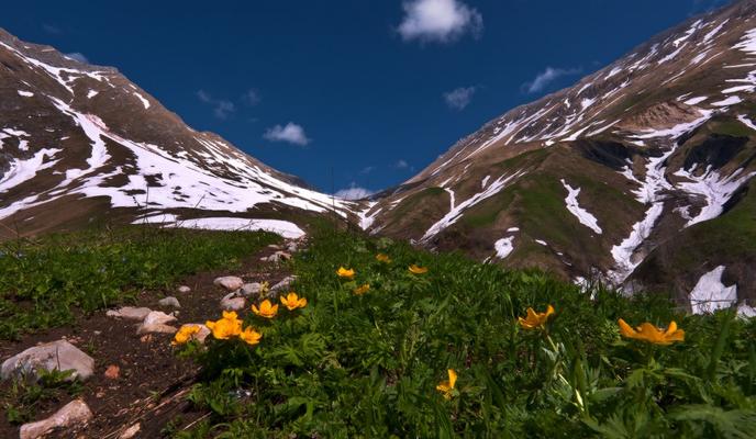 Bitrix 96084: 374020_main.jpeg