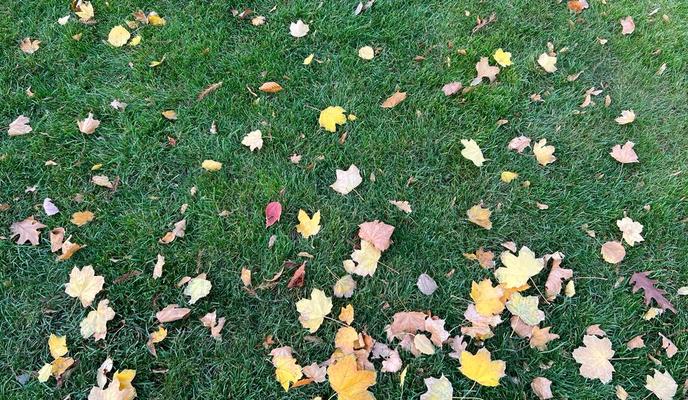 Bitrix 125459: 38b24301_bf44_4d36_ab08_8e409cd23c9a.jpg