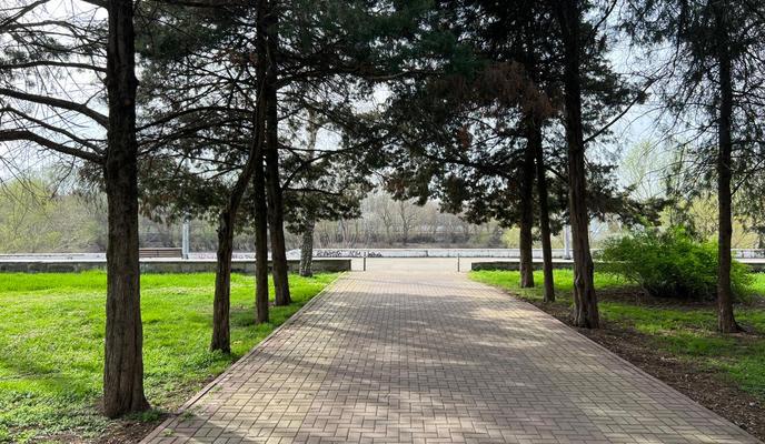 Bitrix 185742: 38d7e177_8ef7_41a0_bd74_d7c60b459e1d.jpg