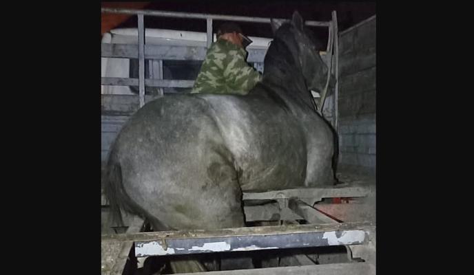 Bitrix 104619: 3ZmoycmrZc.jpg