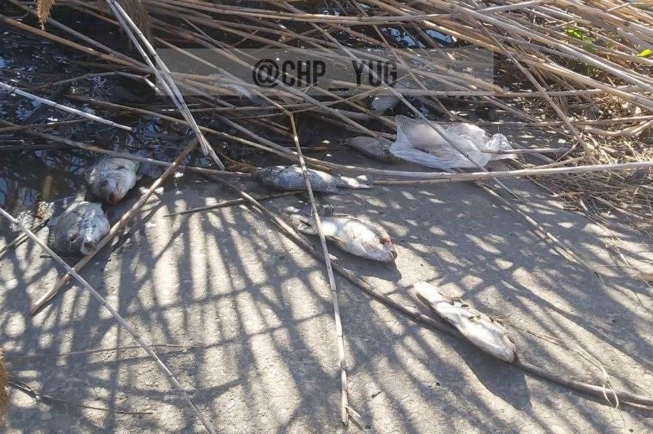 Bitrix 131597: 3.jpg