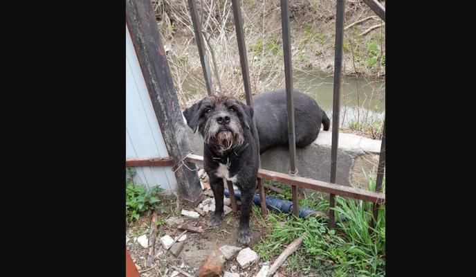 Bitrix 116209: 3_31YpXSXPE.jpg