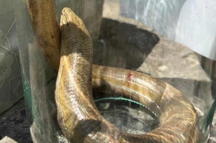 Bitrix 135223: 3.jpg