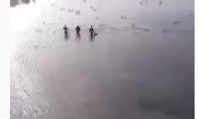 Bitrix 107151: 3.jpg