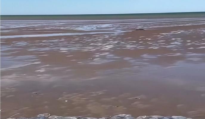 Bitrix 177737: 3.jpg