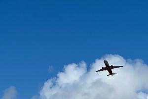 Фото Новая Кубань