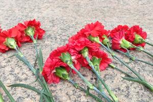 Bitrix 185762: 3.jpeg