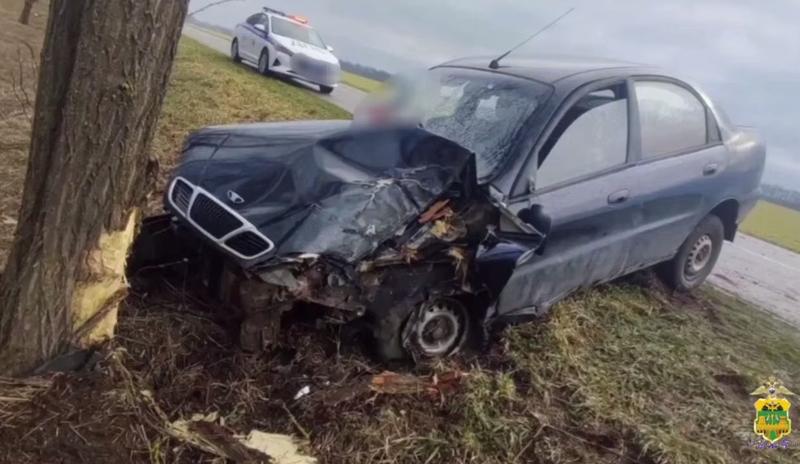 Bitrix 184336: 3.jpg