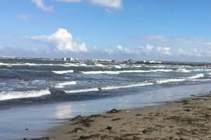 Фото Новая Кубань