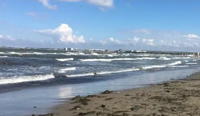 Фото Новая Кубань