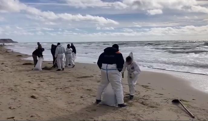 Bitrix 179672: 3.jpg