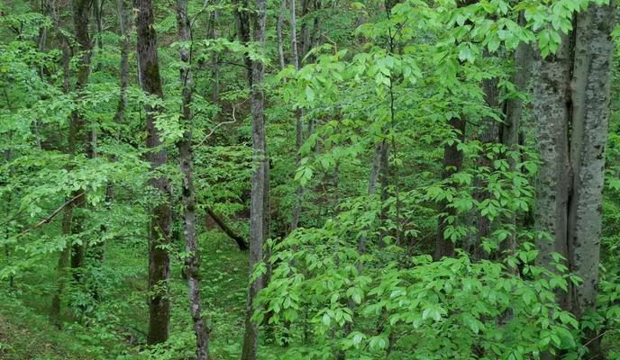 Bitrix 179554: 3.jpg