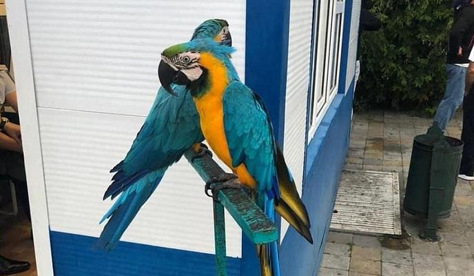 Bitrix 97110: 3.jpeg