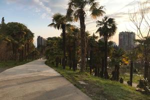 3e45d383-bf73-4827-881f-fbc2dc85717a