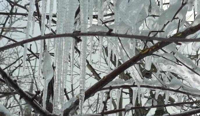 Bitrix 183473: 400.jpg