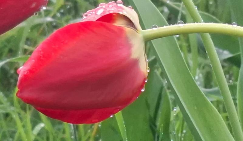 Bitrix 184825: 400.jpg