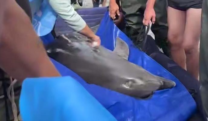 Bitrix 177767: 400.jpg