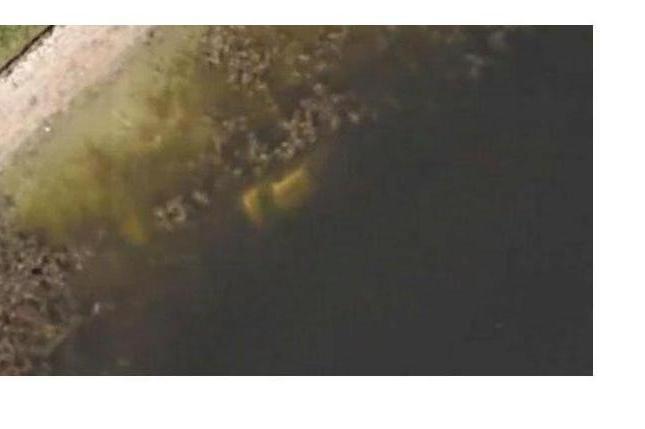 Bitrix 65000: 40.jpg