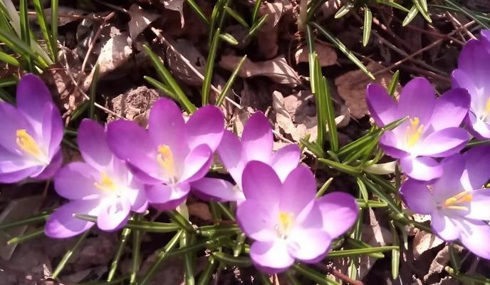 Bitrix 184591: 40.jpg