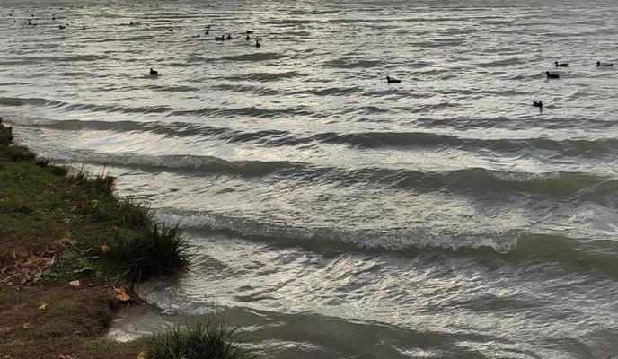 Bitrix 184154: 40.jpg