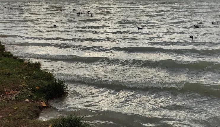 Bitrix 184154: 40.jpg