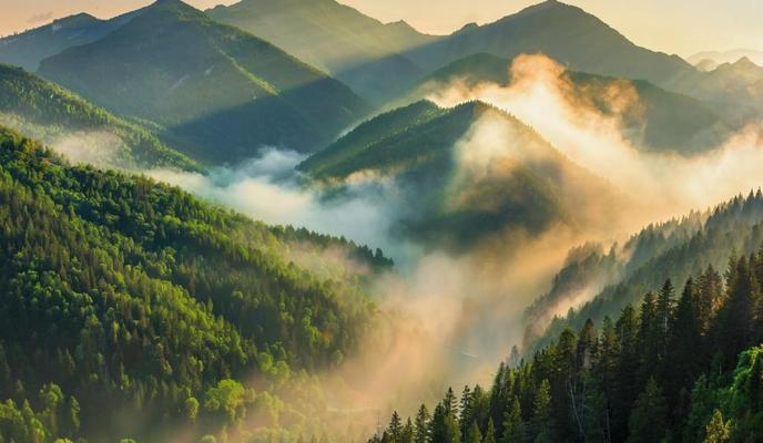 Bitrix 175318: 416c8514_72e6_4482_b156_330c15be92e5.jpg