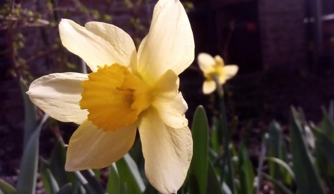 Bitrix 168233: 41.jpg